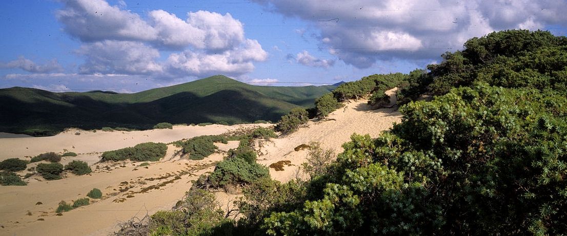 dune di Piscinas