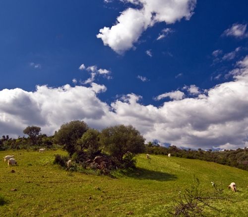 entroterra della Sardegna