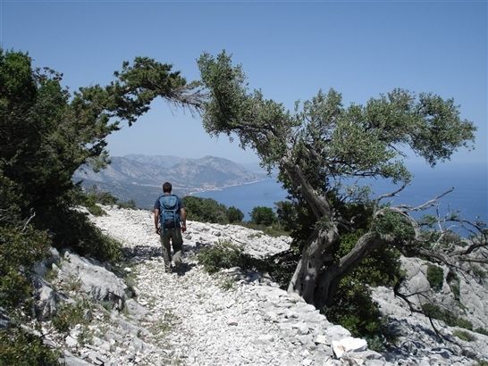 Dorgali - escursioni