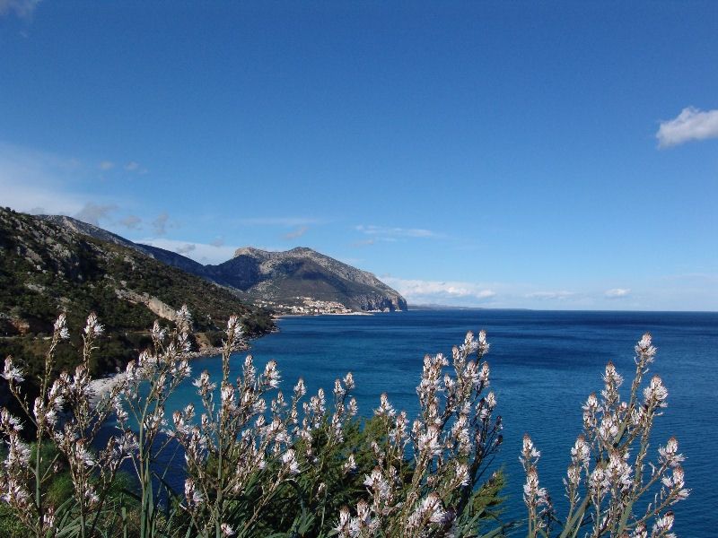 Cala Gonone e dintorni 