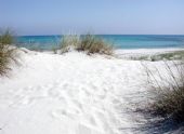 dune di Capo Comino