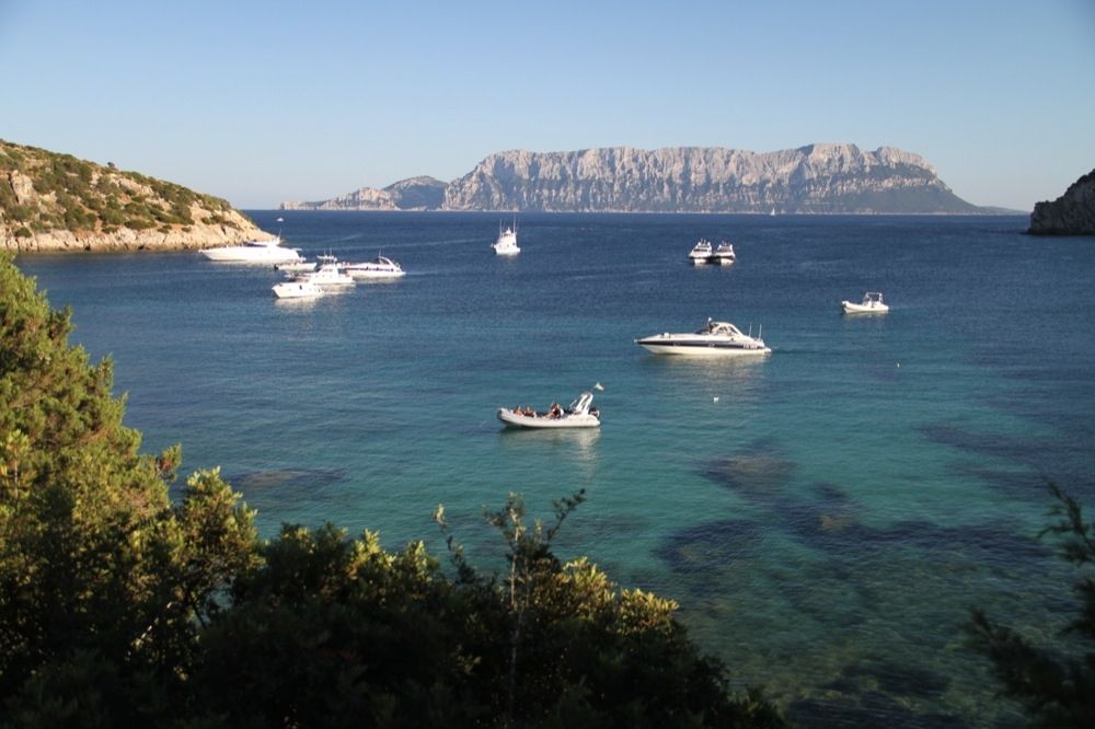 barche al largo di Golfo Aranci