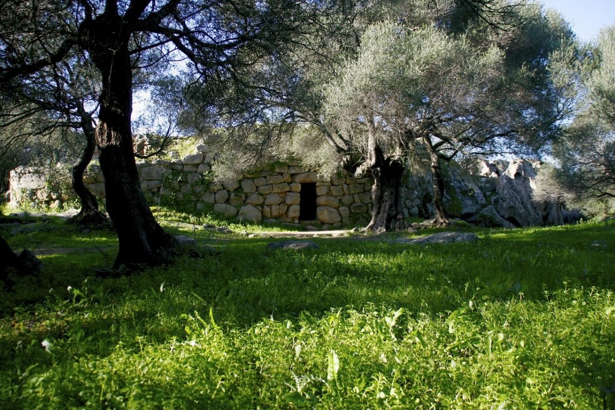 nuraghe Albucciu 