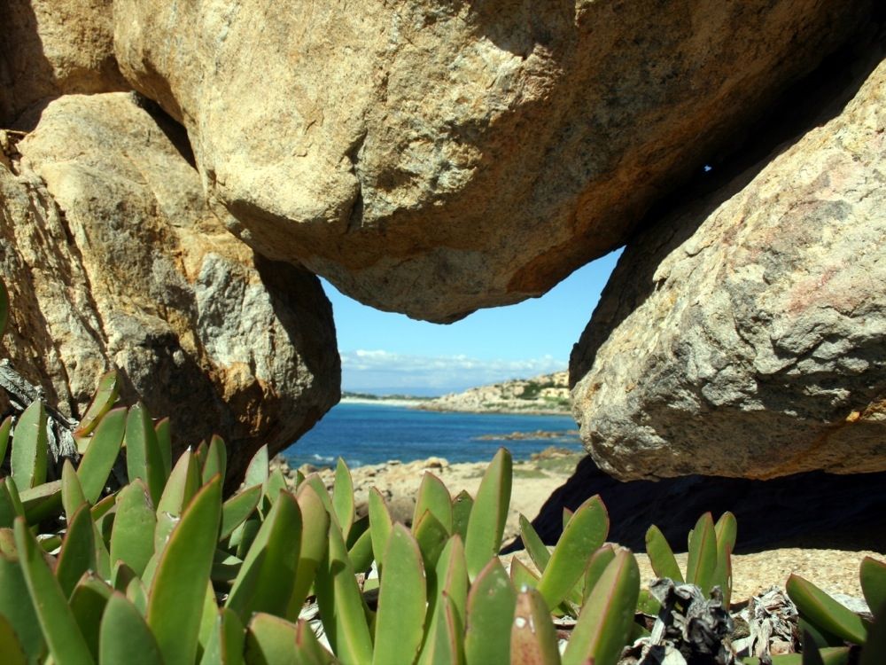 scorcio di Baia Santa Reparata - Santa Teresa Gallura