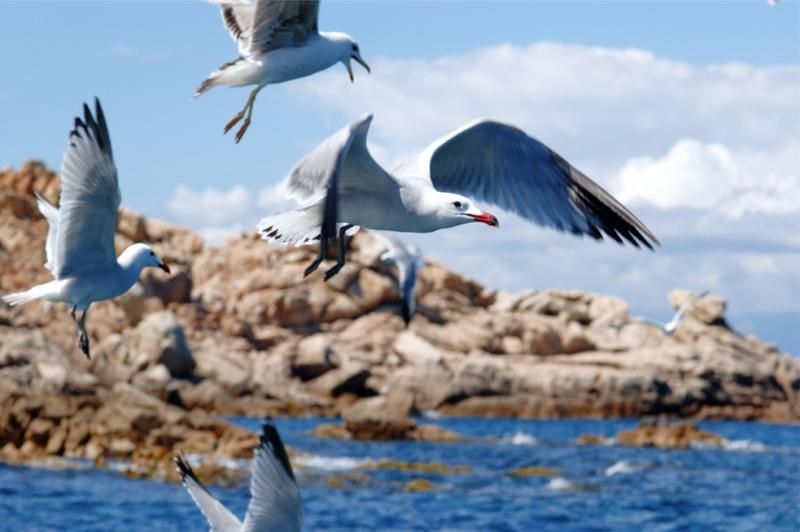 National Park Archipelago of Maddalena