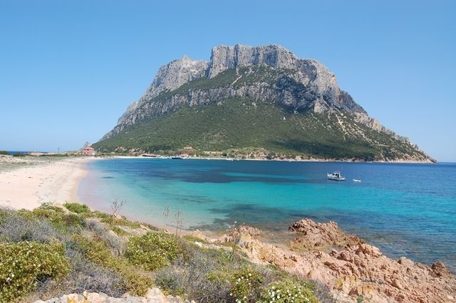 isola di Tavolara - Sardegna
