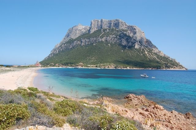 Area Marina Protetta di Tavolara Punta Coda Cavallo