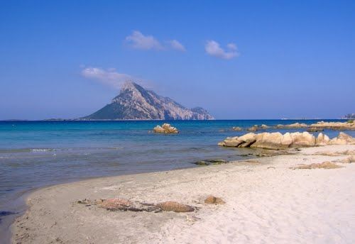 Area Marina Protetta di Tavolara Capo Coda Cavallo