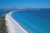 San Teodoro - spiaggia La Cinta