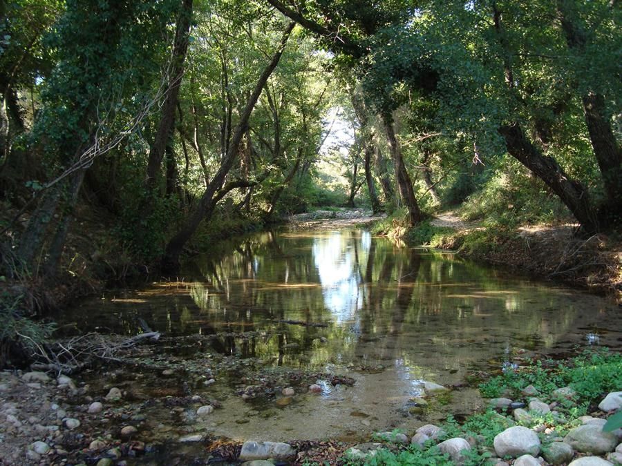 ambiente del Monte Nieddu