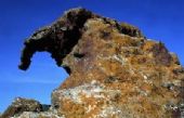 Castelsardo - la roccia dell'elefante