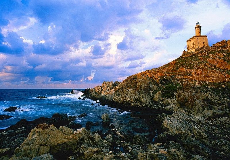 Isola dell’Asinara