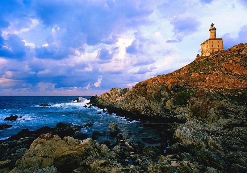 isola dell'Asinara 