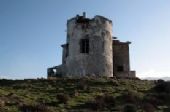 isola dell'Asinara - Punta Scorno