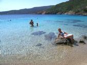 isola dell'Asinara - spiaggia