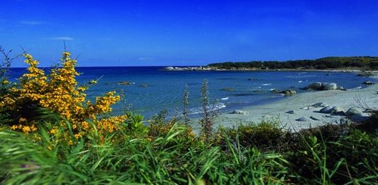 Beach golfetto of Lido di Orri