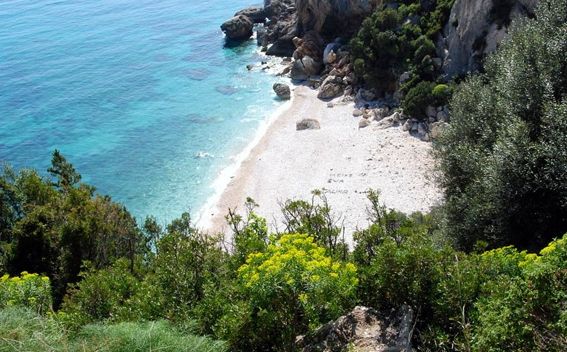 spiaggia Cala Fuili 