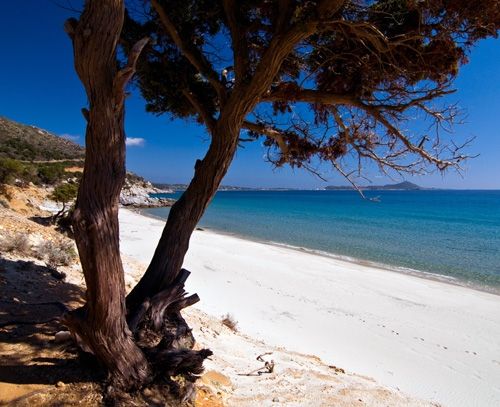 spiaggia Piscareddus a Villasimius