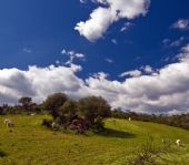 vallermosa.campagna