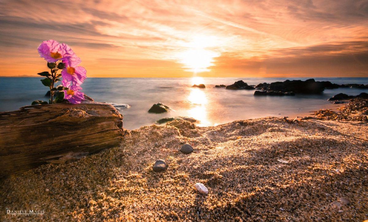 spiaggia Lu Bagnu