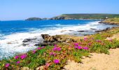 Spiaggia di Campu e Sali