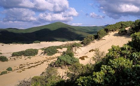 spiaggia e dune di Piscinas