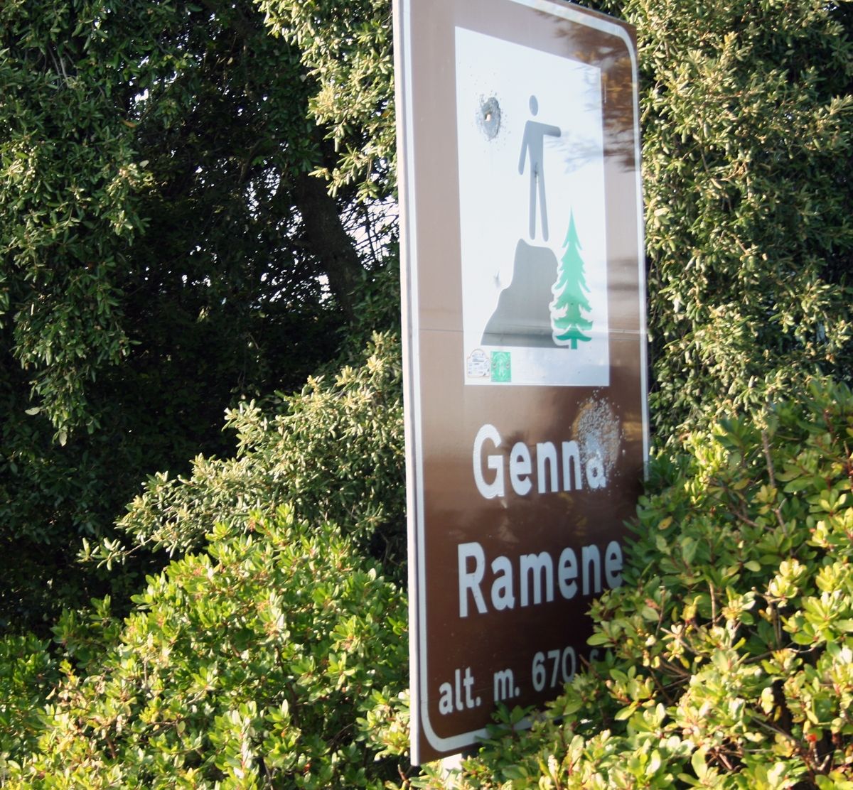 vegetazione nel Parco del Genna Ramene