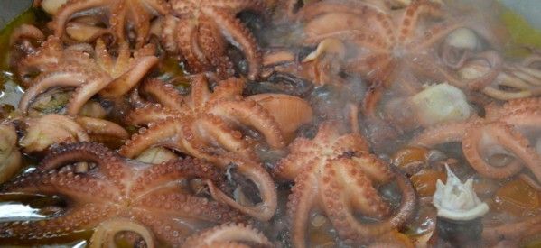Drowned octopus