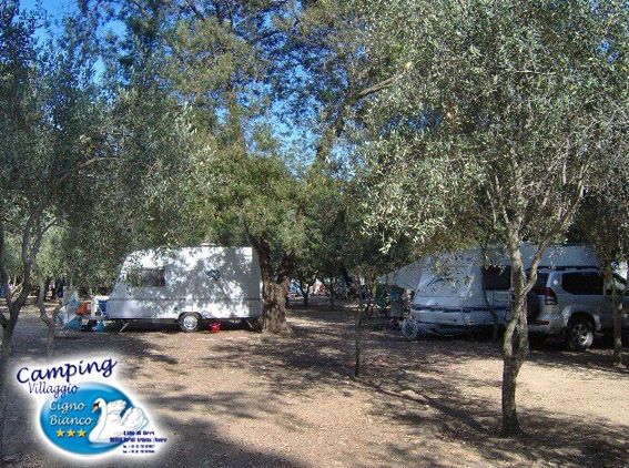 Camping Village Cigno Bianco