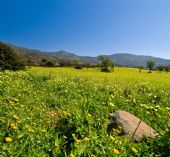 la campagna a Quartu Sant'Elena