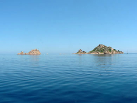 ARGOMENTO-88-1-03.jpg